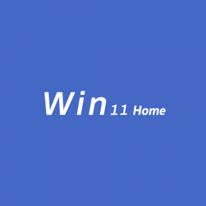 MS Win 11 Home OEM KEY GLOBAL