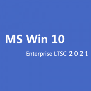 MS Win 10 Enterprise LTSC 2021 CD Key Global